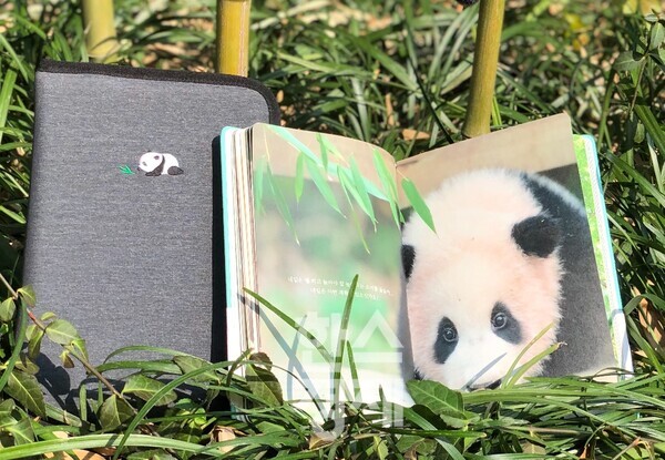 에버랜드는 네이버 스토어, 오픈마켓(G마켓/옥션), 크라우드 펀딩, 유튜브 머치 등 꼭 직접 방문을 하지 않더라도 에버랜드 굿즈를 구입해 소장할 수 있는 다양한 온라인 채널을 운영하고 있다./에버랜드 제공