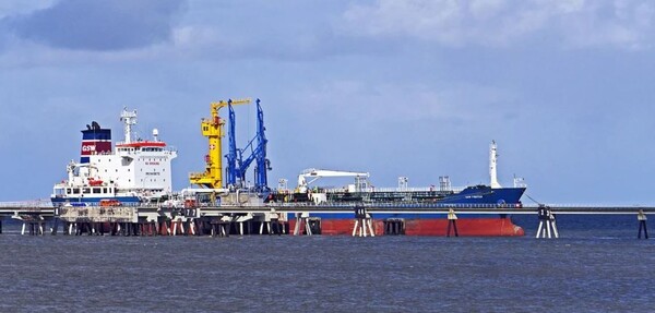 사진제공: 픽사베이