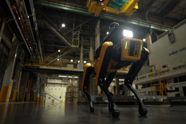 현대차그룹이 산업 현장에 투입한 보스턴다이내믹스의 안전 로봇 스팟. /사진=현대자동차그룹
