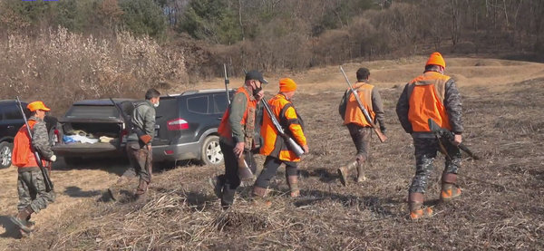 유해야생동물 포획활동 모습./안성시 제공