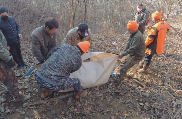 유해야생동물 포획활동 모습./안성시 제공