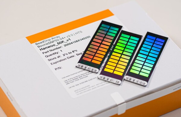 티엔티리써치 한우 유전자칩. / 사진=티엔티리써치 제공