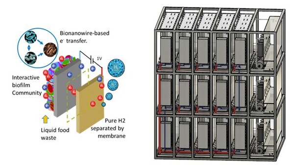 바이오 그린수소 생산기술 모식도. /코오롱글로벌 제공