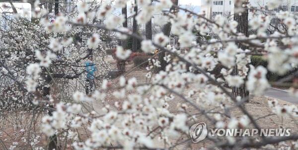 오전에 쌀쌀한 날씨를 벗어나 낮에는 따뜻한 '봄날씨'가 이어질 전망이다. /연합뉴스
