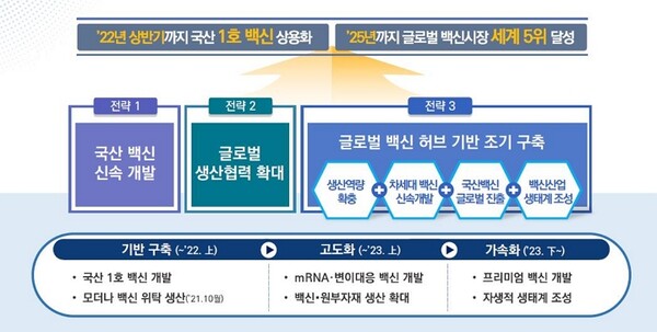 K-글로벌 백신허브화 비전 및 전략 발표자료. / 보건복지부 제공