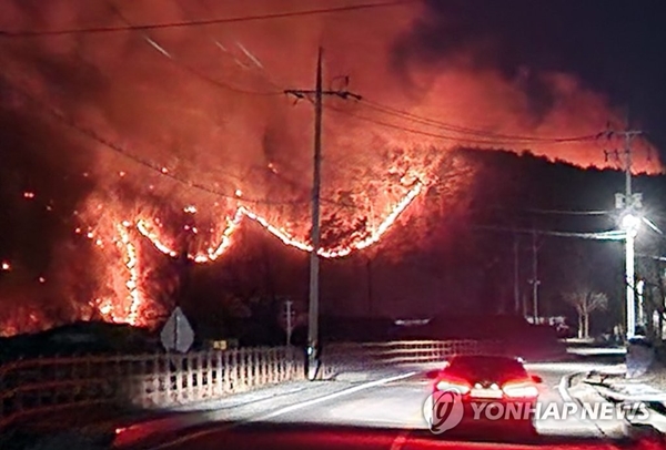  강원 삼척 원덕읍 노곡리 일대로 번진 산불 / 연합뉴스