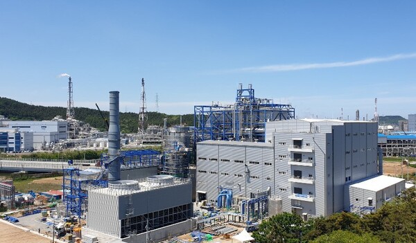 충남 서산시 대산읍에 위치한 서해그린에너지 바이오매스 에너지 설비. DL이앤씨는 이곳에 연간 14만 6천톤의 탄소를 포집해 활용하는 공장을 건설할 계획이다. /DL이앤씨 제공