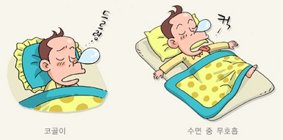 수면무호흡증의 주요 증상/제공= 보건복지부, 대한의학회