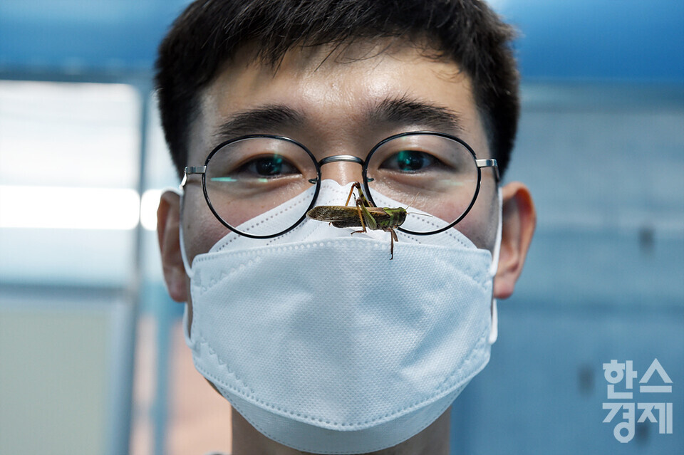 복현수 미스터메뚜기 대표가 식용으로 기르고 있는 풀무치를 살펴보고 있다. /이천=김근현 기자