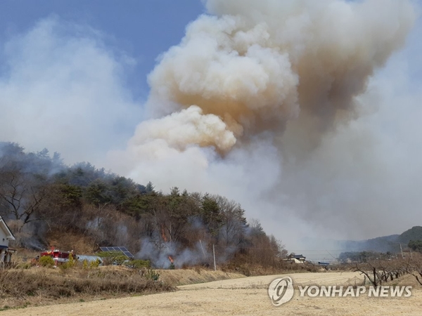5일 경북 봉화에서 발생한 산불 / 연합뉴스