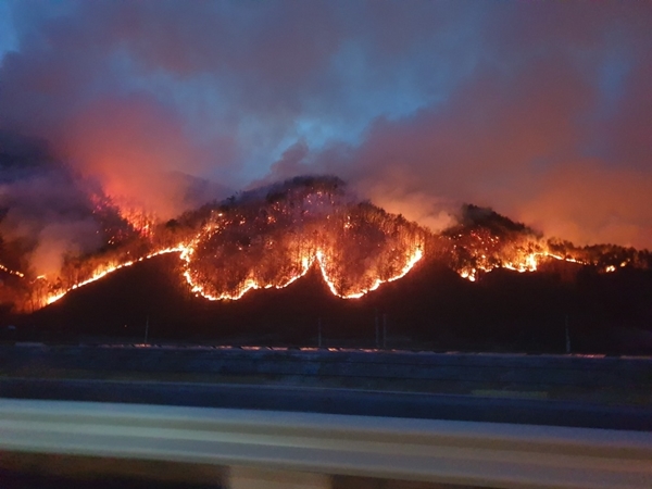 강원도 양구군에서 발생한 산불 / 독자 제공