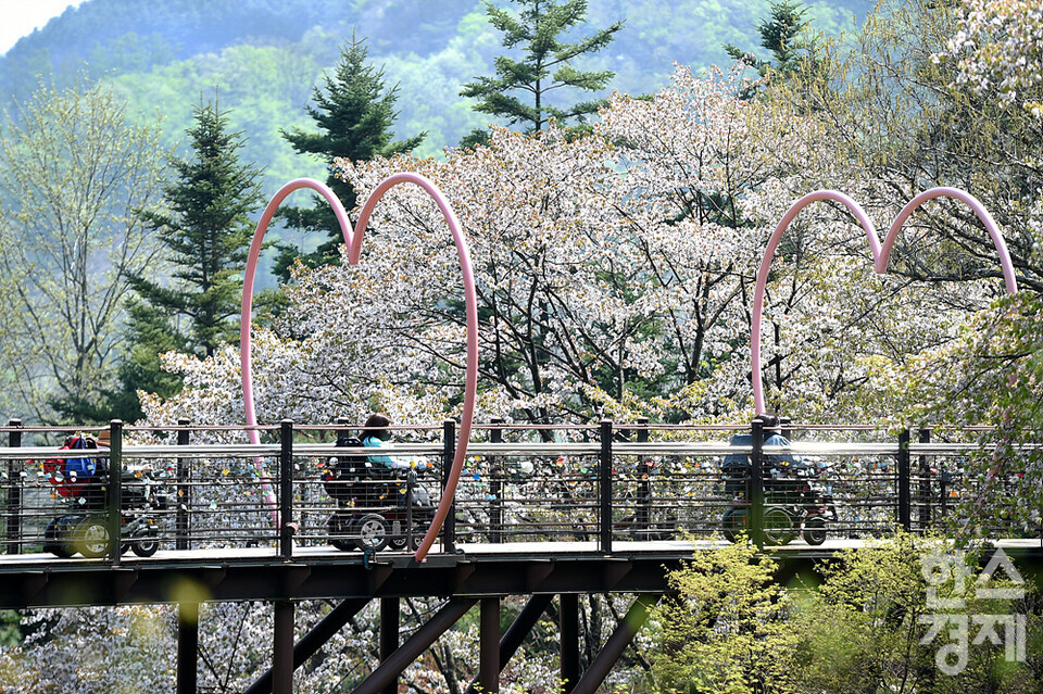 시민들이 19일 오후 경기도 광주시 화담숲에서 봄의 정취를 즐기고 있다. /화담숲=김근현 기자