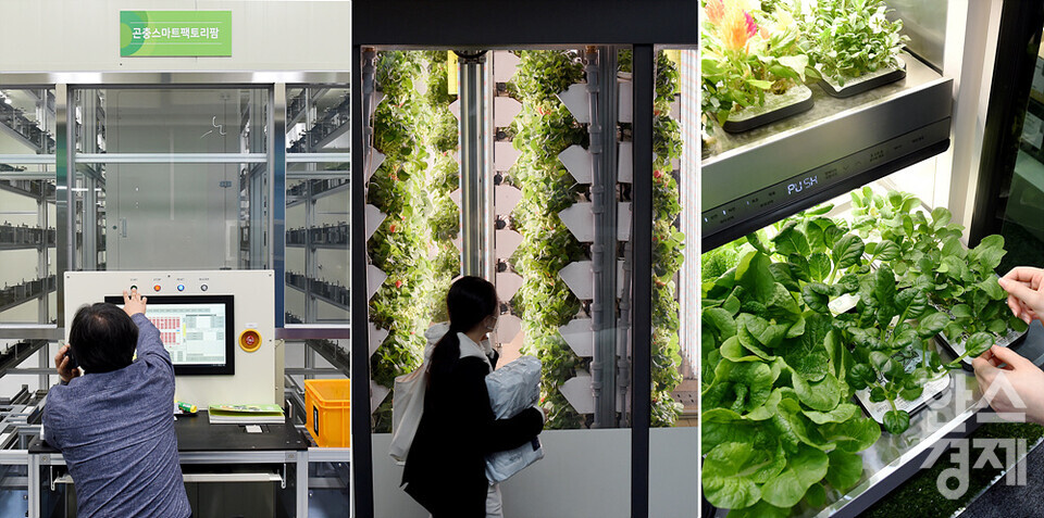 왼쪽부터 농촌 곤충 스마트팜, 도심 딸기 스마트팜, 가정용 스마트팜. /김근현 기자
