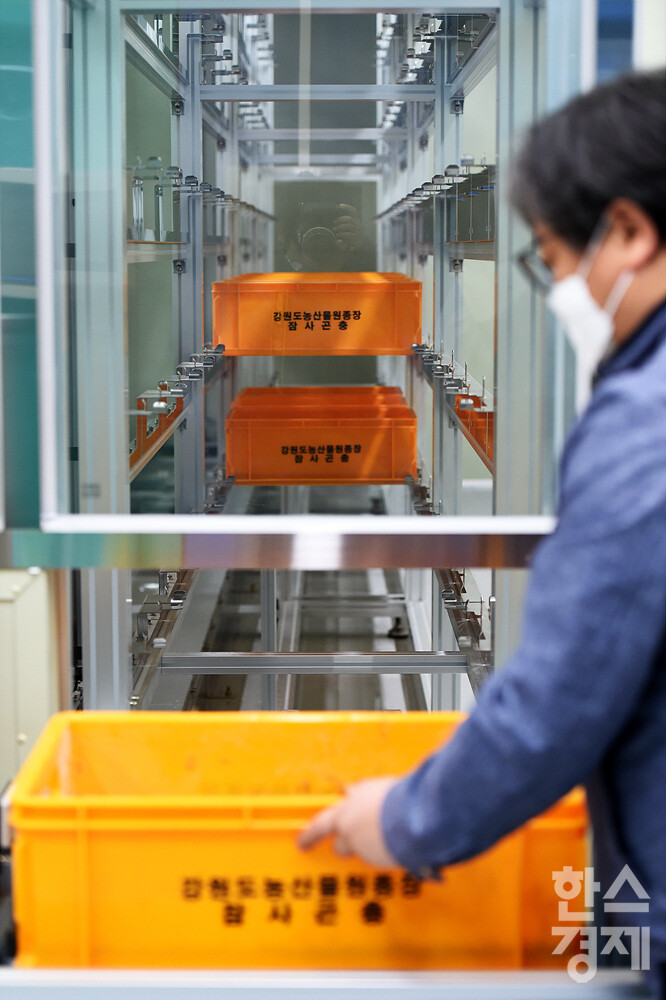 석영식 박사가 사육이 끝난 밀웜 사육틀을 로봇으로 불러오고 있다. /강원도농산물원종장=김근현 기자