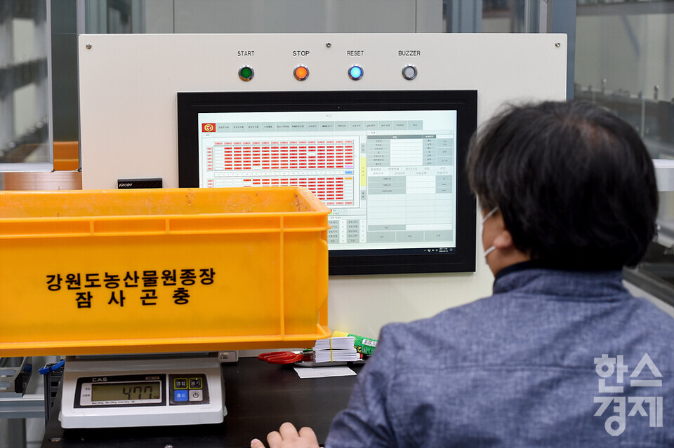 석영식 박사가 사육이 끝난 밀웜 사육틀의 무게를 재고 있다. /강원도농산물원종장=김근현 기자