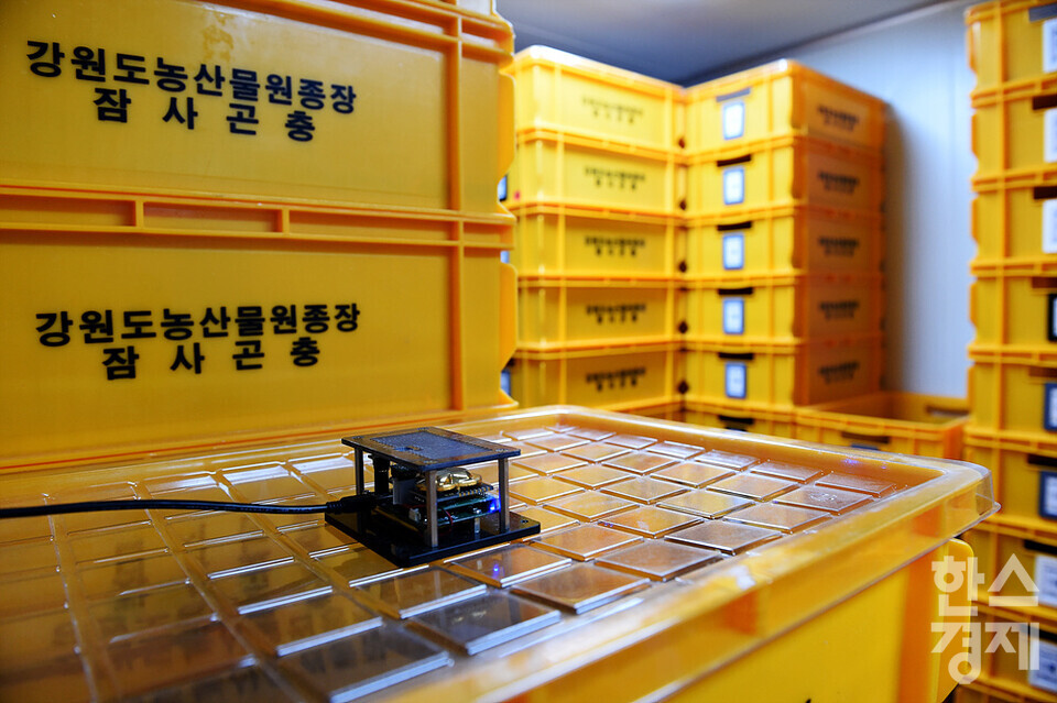데이터 수집센서가 온도와 습도 등 사육환경의 데이터를 수집하고 있다. /강원도농산물원종장=김근현 기자