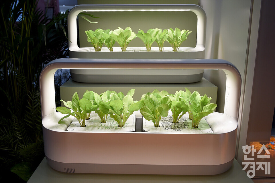 LG틔운 미니 제품이 '2022 월드IT쇼' 행사장에 전시돼 있다. /코엑스=김근현 기자