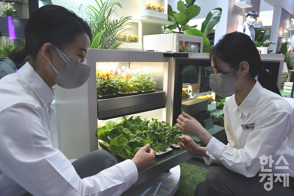 시민들이 가정용 식물재배기인 LG틔운 제품에서 재배한 식물들을 살펴보고 있다. /코엑스=김근현 기자