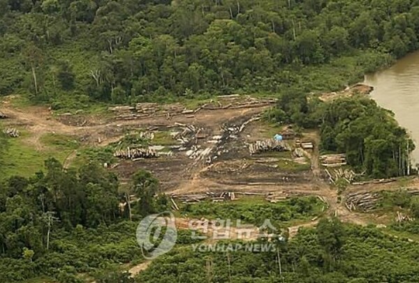 아마존 열대우림 무단벌채./연합뉴스
