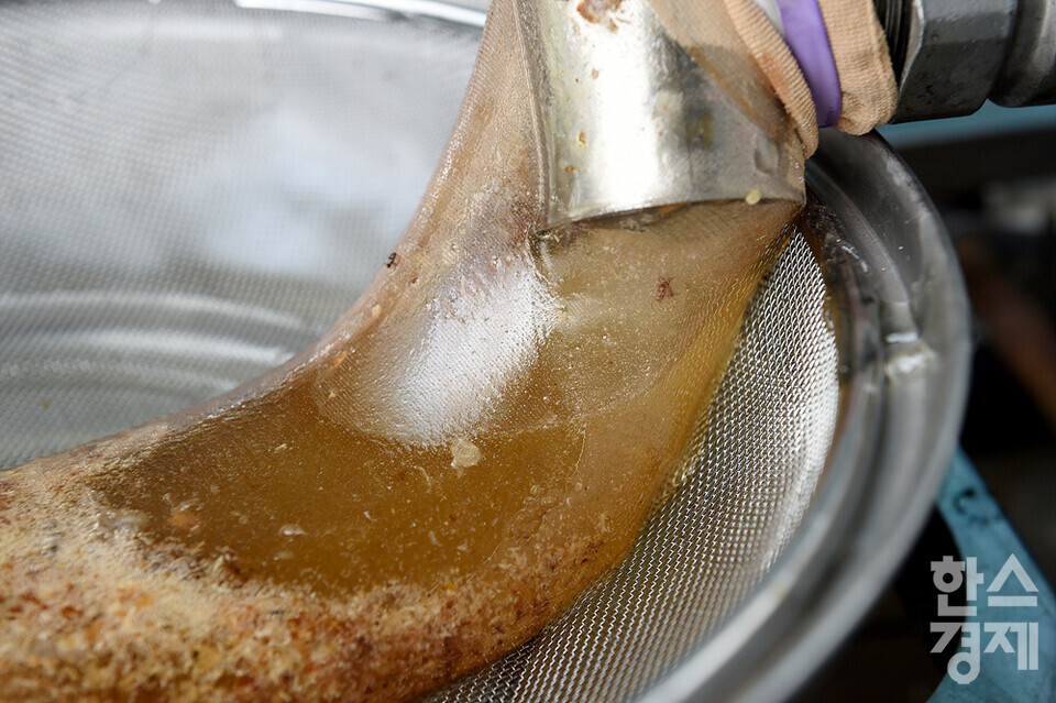 세계 벌의 날을 하루 앞둔 19일 오전 서울 관악구 도심양봉장에서 채밀된 꿀들이 거름망을 통해 흘러나오고 있다. /김근현 기자