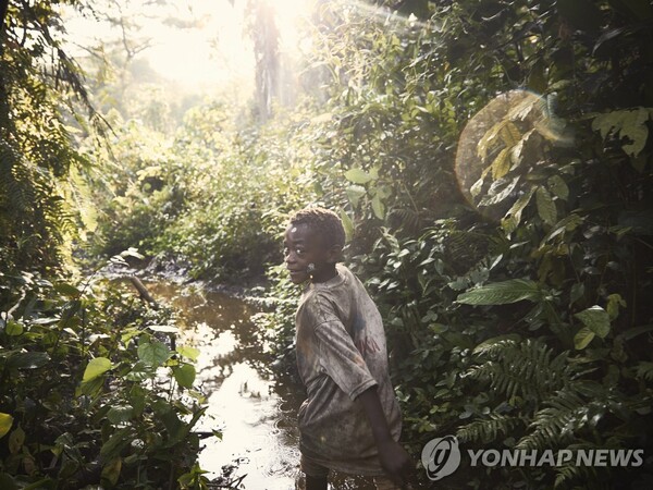 아프리카 민주콩고의 이투리 열대우림이 석유·천연가스 개발로 훼손 위기에 처했다.(사진=연합)