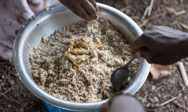 세네갈 남동부 네네피차 지역에 있는 레스토랑에서 제공하는 닭고기를 사용한 갓 조리한 포니오 요리. 사진:앤디 홀(사진=가디언 캡처)