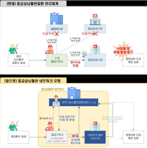 응급심뇌혈관질환 전달체계 개편 시범사업 모형/제공=보건복지부