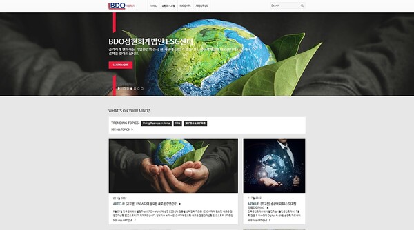 BDO성현회계법인 홈페이지 캡처. 
