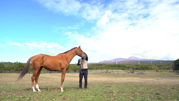 '청담도끼'의 모습. /한국마사회 제공