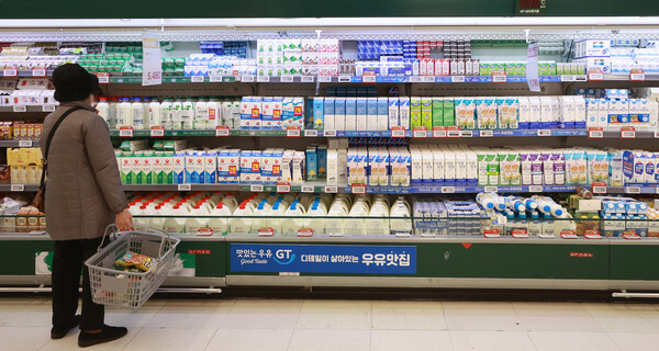 우유 원유 가격 인상에 따라 흰 우유를 비롯한 유제품 가격이 오른 지난 17일 서울의 한 대형마트에서 시민이 우유 제품을 고르고 있다./연합뉴스.