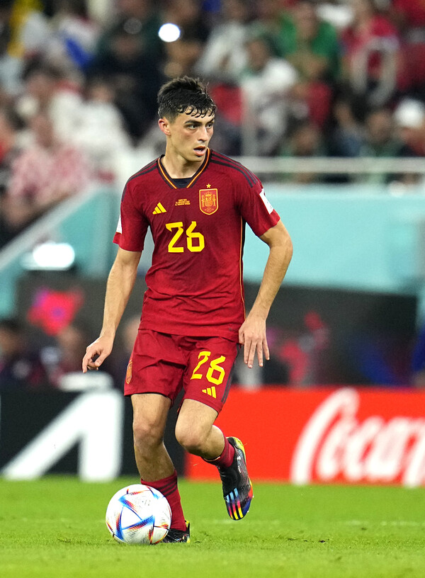 페드리는 스페인 국가대표팀에 완전한 주전으로 발돋움 했다. /연합뉴스