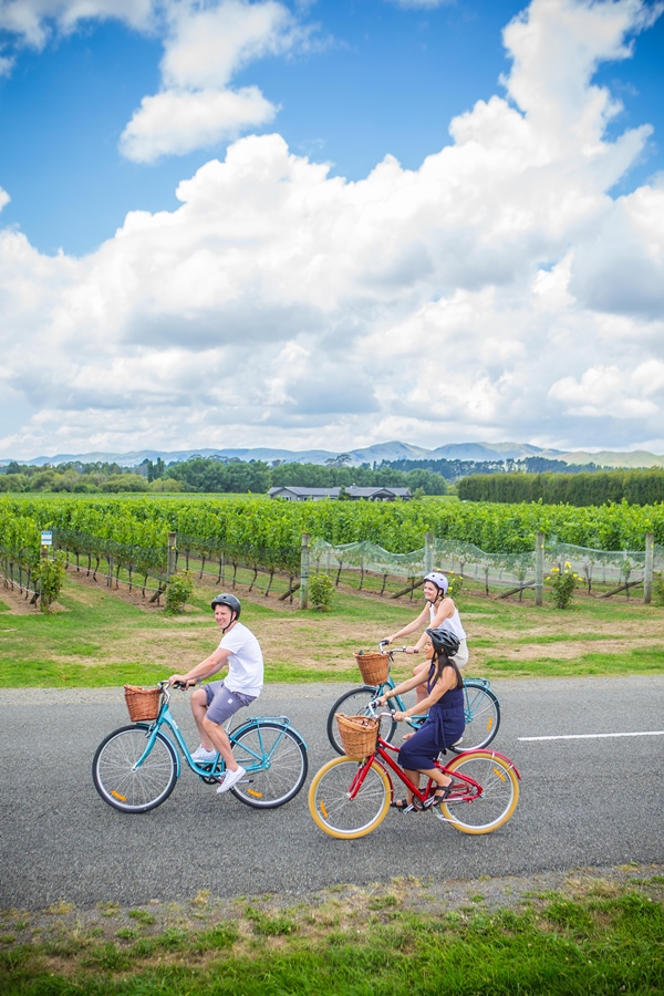 와이라라파 마틴버러 포도원에서 자전거를 타는 사람들_ⓒWellington NZ / 뉴질랜드 관광청