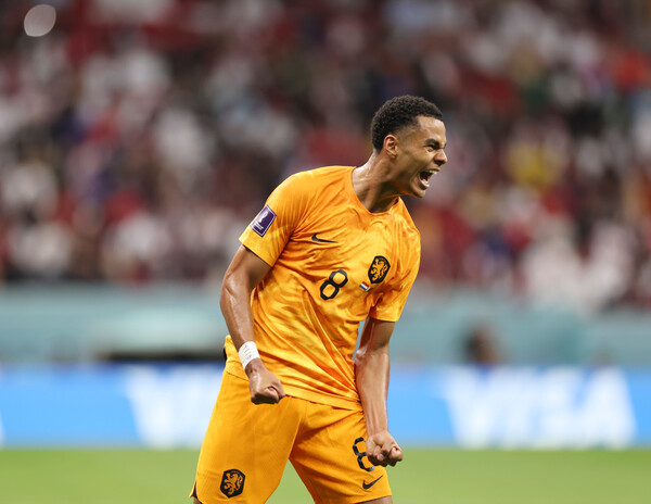 네덜란드 공격수 코디 학포는 2022 카타르 월드컵에서 3골을 기록했다. /연합뉴스