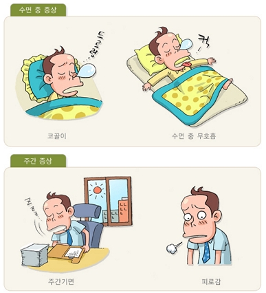 수면무호흡증의 주요 증상/제공=보건복지부, 대한의학회