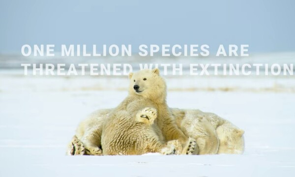 COP15 관련 영상. / 유엔환경계획 유튜브 캡처.