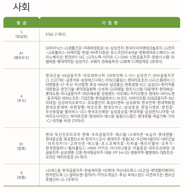 ESG행복경제연구소가 발표한 국내 시총 200대 기업 ESG 평가 사회부문. /ESG행복경제연구소 제공