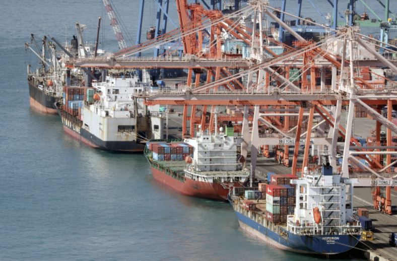 컨테이너 하역작업 중인 부산 감만부두 모습. /사진=연합뉴스