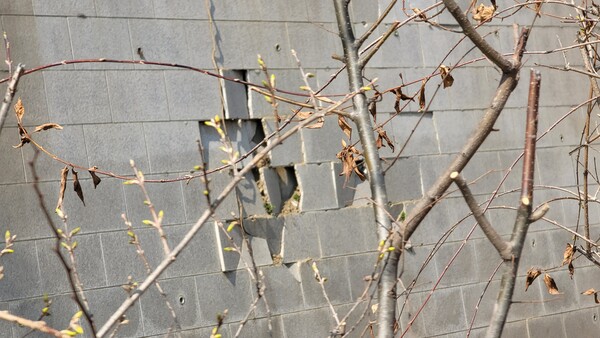 남한산성으로 진입하는 터널입구 부근 경사면의 붕괴초기 상황이 목격되고 있다./ 김두일 기자