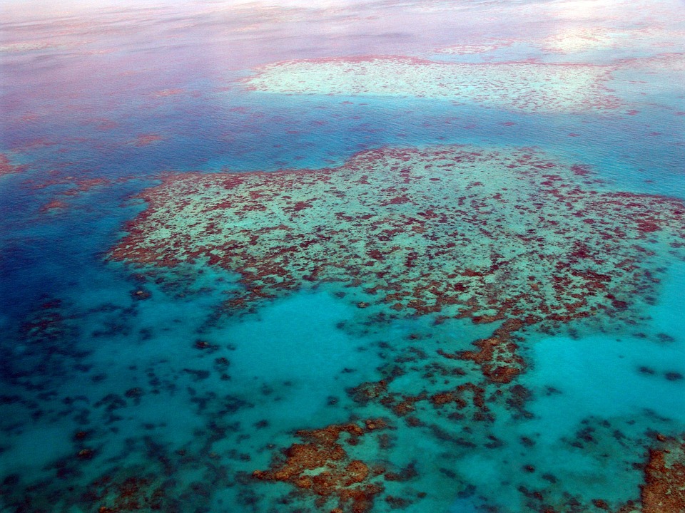 세계 최대 산호초 지대인 호주의 그레이트 베리어 리프. / 픽사베이 