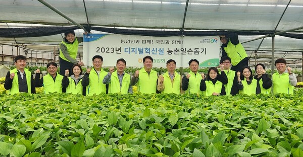 농협수원시지부는 6일 농협중앙회 디지털혁신실과 함께 수원관내 화훼농가를 찾아 영농철 농촌일손돕기를 실시했다./ 경기농협 제공