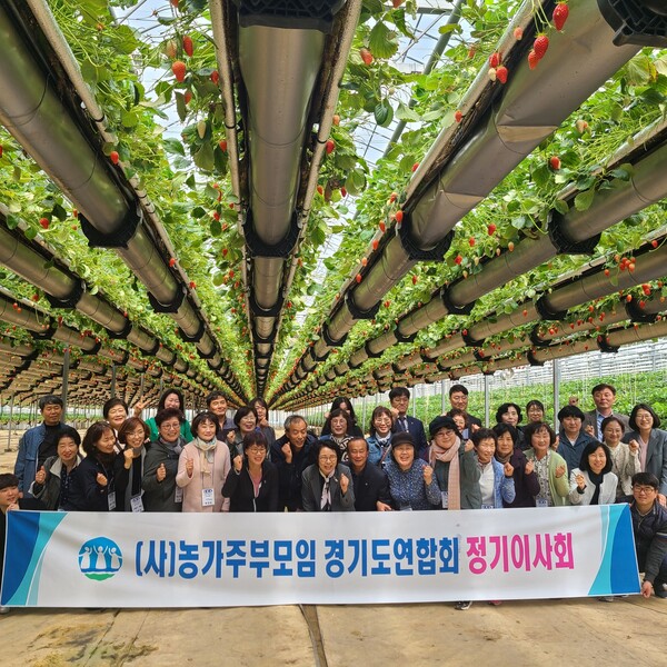 농협중앙회 경기본부(본부장 홍경래)와 (사)농가주부모임경기도연합회(회장 여주현)는 18일 2023년 2분기 이사회를 개최했다./ 경기농협 제공