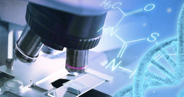 연구개발 이미지. /연합뉴스