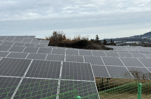 태양광 패널./ 연합뉴스 