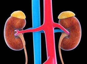 제공=게티이미지뱅크