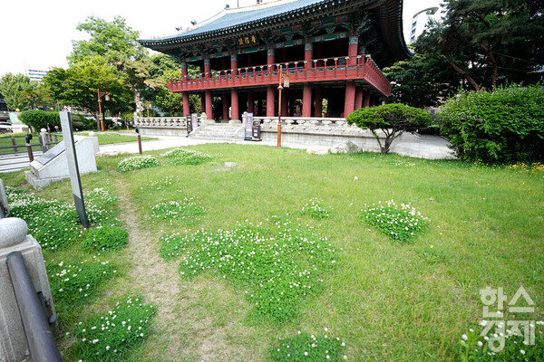 관리되지 않은 잔디와 무성한 잡초. /김근현 기자 khkim@sporbiz.co.kr 2023.05.15.