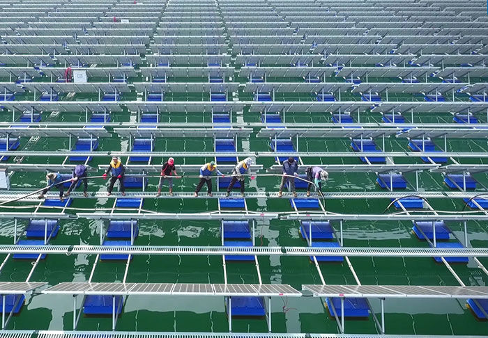 스코트라가 수상태양광 설비를 시공하는 모습. / 스코트라 제공