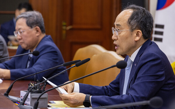 서비스산업발전 TF 회의에서 발언하고 있는 추경호 경제부총리 /연합뉴스