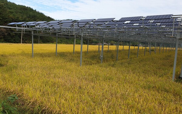 경남 함양에 위치한 영농형태양광발전소 / 한국영농형태양광협회 제공