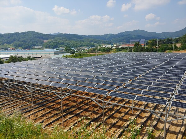 충북 괴산에 위치한 영농형태양광발전소 / 한국영농형태양광협회 제공