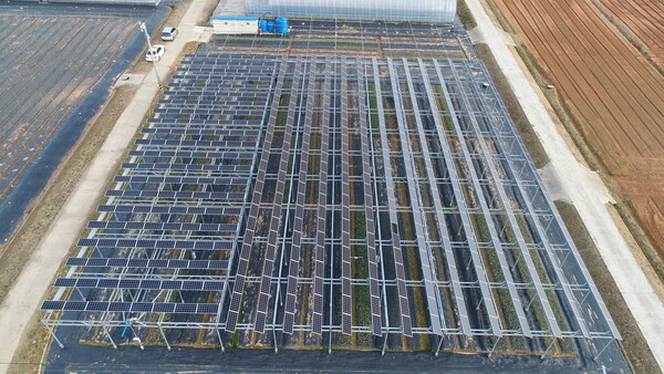 전남농업기술원 영농형태양광발전소 / 한국영농형태양광협회 제공